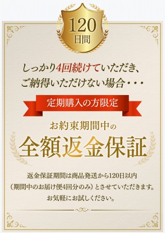 �N�����N,�����T�C�g